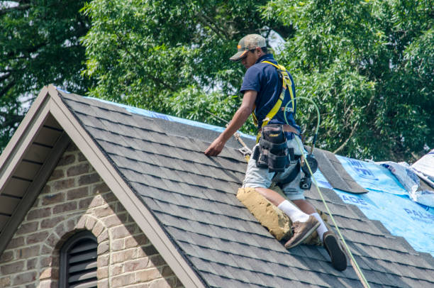 Best Residential Roofing Contractor  in Louisville, MS